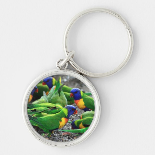 Chaveiro Rainbow Lorikeets australiano (Frente)