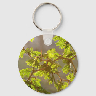 Chaveiro Raintree Branches Bonsai Foto