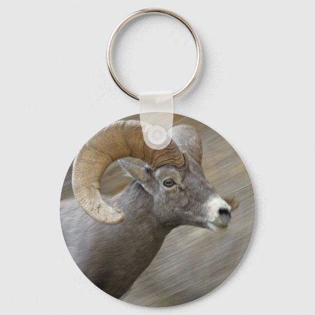 Chaveiro Ram Desert Bighorn (Frente)