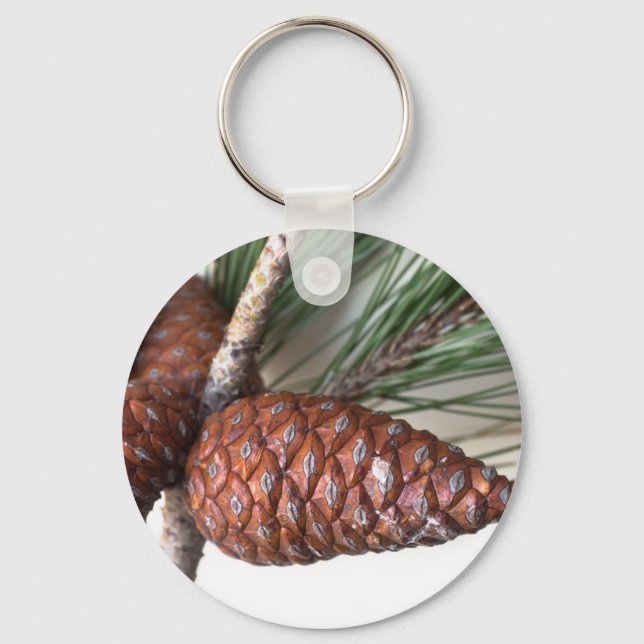 Chaveiro Ramificação do pinheiro com pinecona (Frente)