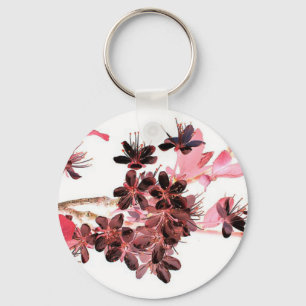 Chaveiro Ramificação Floral da Árvore
