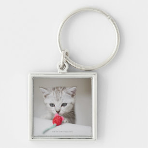 Chaveiro Rato de cheiro do brinquedo do gatinho britânico
