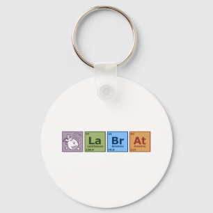 Chaveiro Rato do laboratório