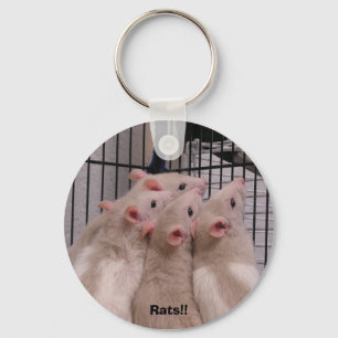Chaveiro Rats!!