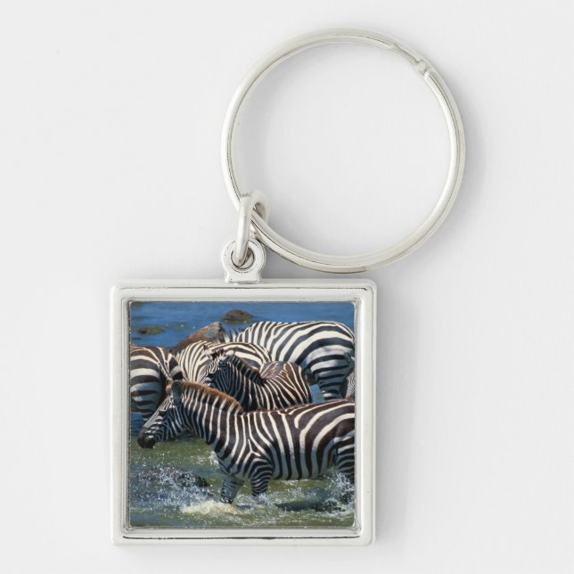 Chaveiro Rebanho das zebras 2 (Frente)