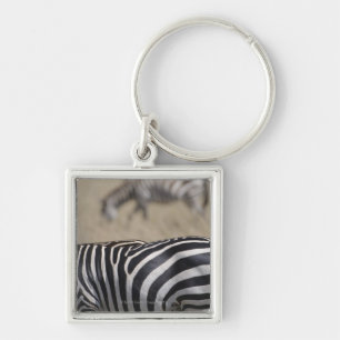 Chaveiro Rebanho das zebras que pastam, reserva do jogo de