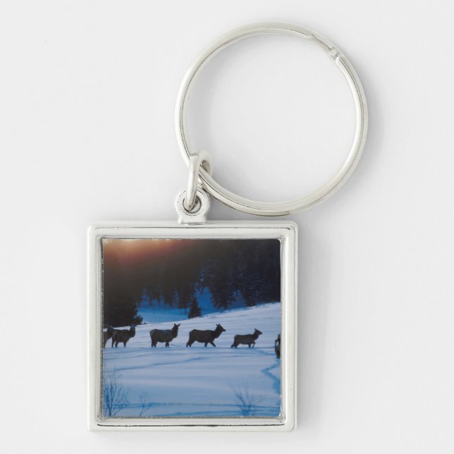 Chaveiro Rebanho dos alces que anda através do campo (Frente)