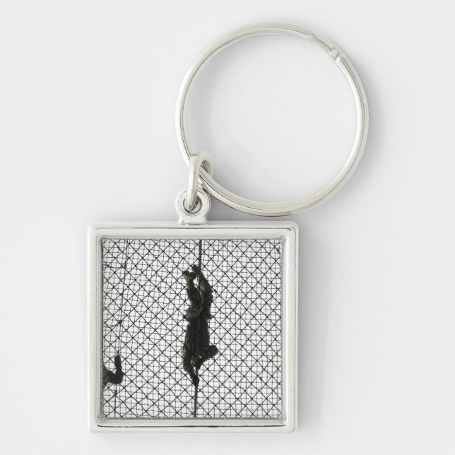 Chaveiro recruta que preenche um obstáculo (Frente)