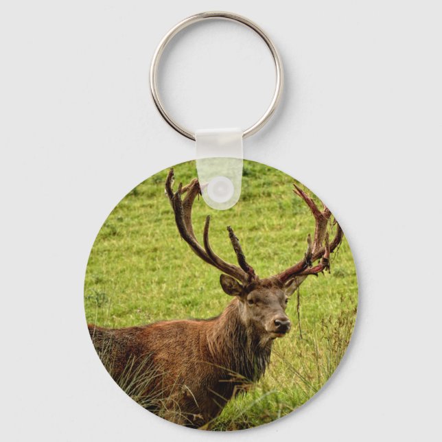 Chaveiro Red Deer Stag (Frente)