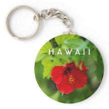 Red Hibiscus Hawaii Flor Tropical