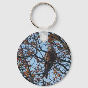 Chaveiro Red Kite no Anel de Chave de Árvore de Oak