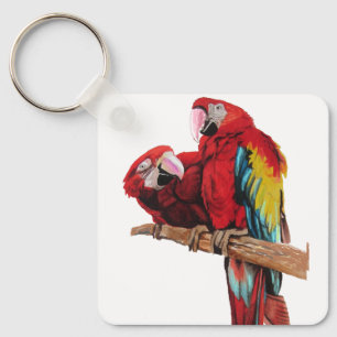 Chaveiro Red Macaw Papagaio Papagaio Chave de Arte de Aquar
