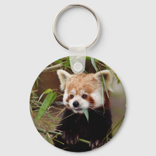 Chaveiro Red Panda