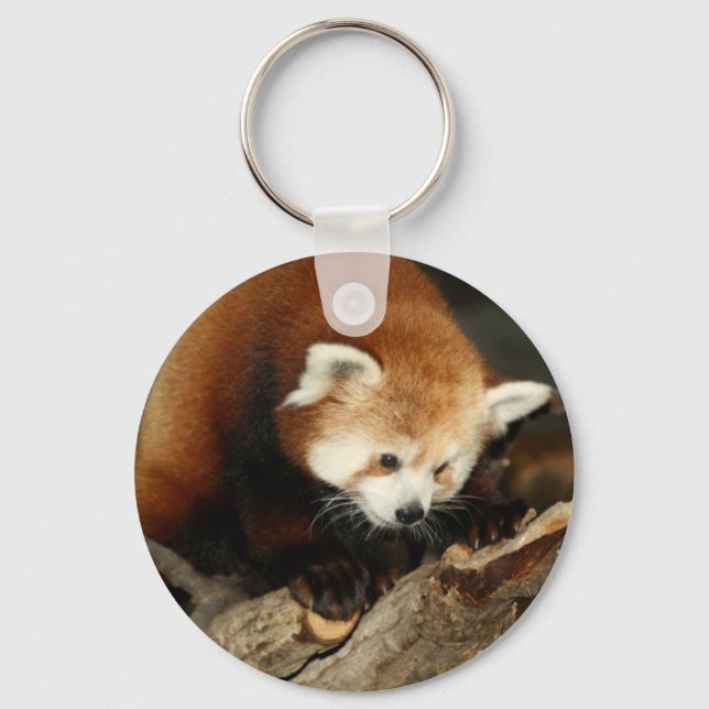 Chaveiro Red Panda (Frente)