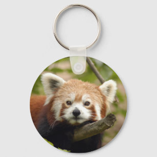 Chaveiro red-panda-005