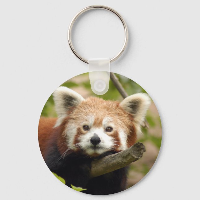 Chaveiro Red-panda-007 (Frente)