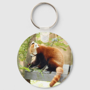 Chaveiro Red-panda-028