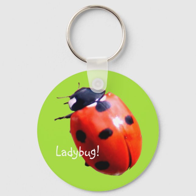Chaveiro Red Spotted Ladybug (Frente)