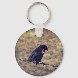 Chaveiro Red Wing Blackbird no arame farpado