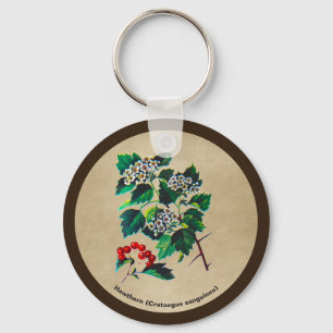 Chaveiro Redhaw Hawthorn Em Papel Antigo