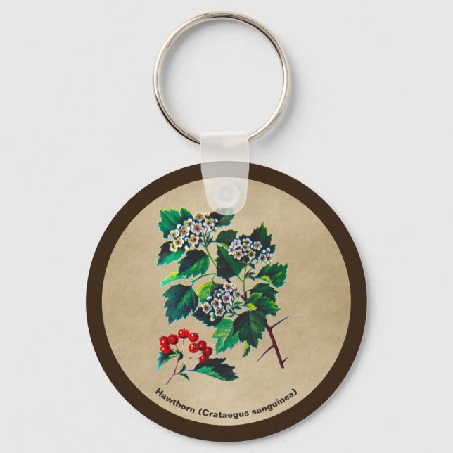 Chaveiro Redhaw Hawthorn Em Papel Antigo (Frente)