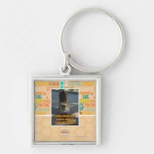 Chaveiro Rejeições de Firefox