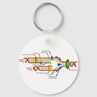 Chaveiro Replicação de DNA
