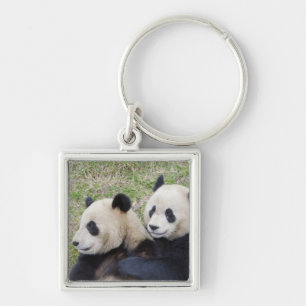 Chaveiro Reserva de Wolong, China, Panda gigante abraçando