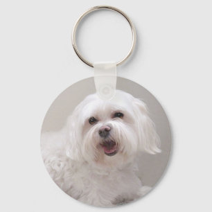 Chaveiro Resgate de Cachorro Branco Pequeno (Maltese)