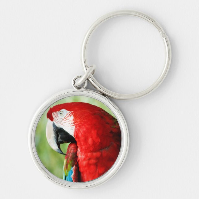 Chaveiro Retrato da Macaw (Frente)