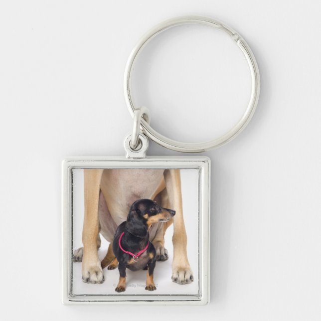 Chaveiro Retrato de great dane e do Dachshund (Frente)