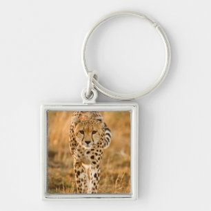 Chaveiro Retrato de Guepardo (Acinonyx Jubatus), Maasai