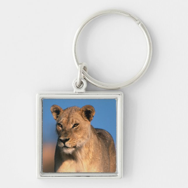 Chaveiro Retrato de Leoa (Panthera Leo) (Frente)