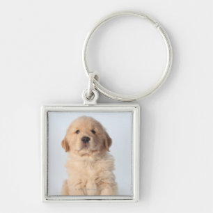 Chaveiro Retrato de seis filhotes de cachorro semanas de