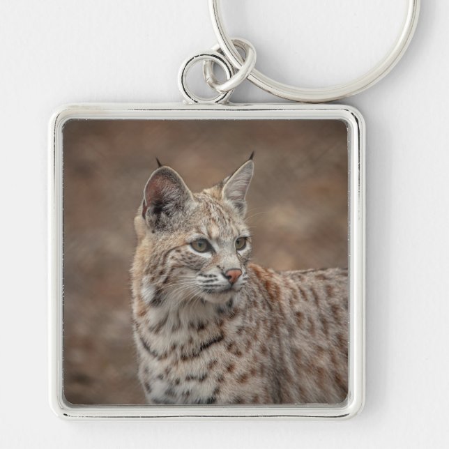Chaveiro Retrato de um Bobcat (Frente)