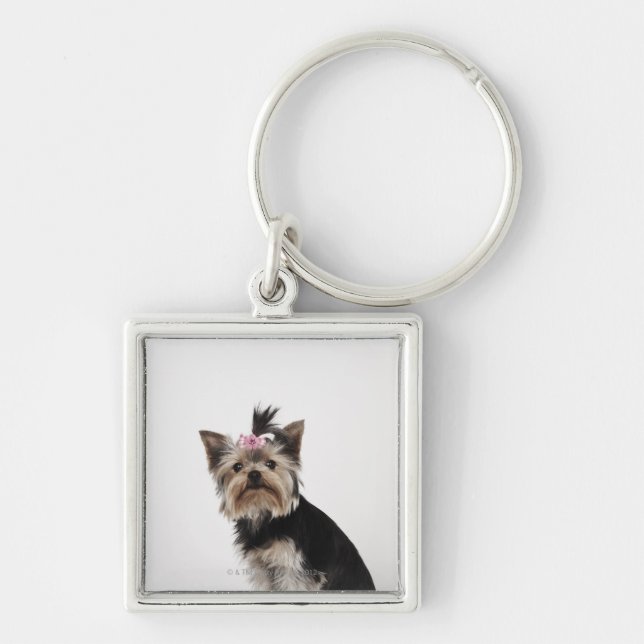 Chaveiro Retrato de um cão do yorkshire terrier (Frente)