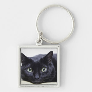 Chaveiro Retrato de um gato