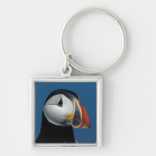 Chaveiro Retrato de um Puffin Atlântico