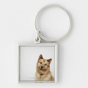 Chaveiro Retrato de um sorriso finlandês do cão do Spitz