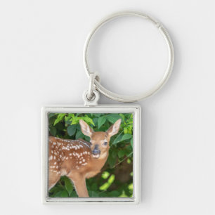 Chaveiro Retrato de uma Fawn recém-nascida (veado de cauda