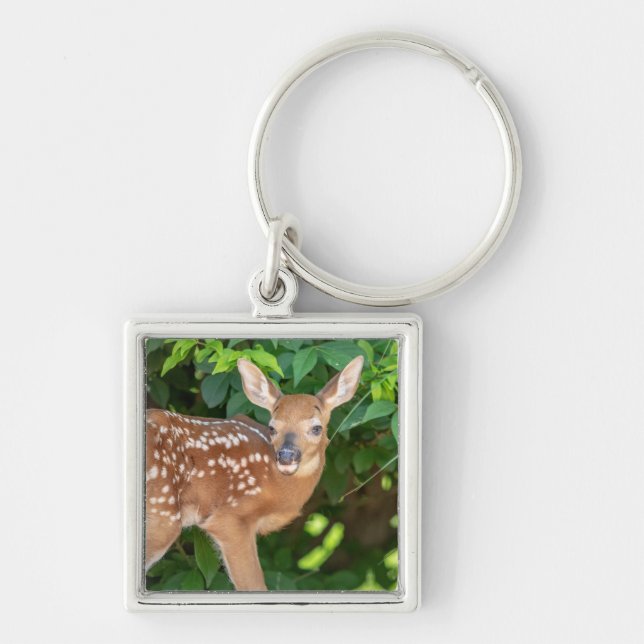 Chaveiro Retrato de uma Fawn recém-nascida (veado de cauda  (Frente)