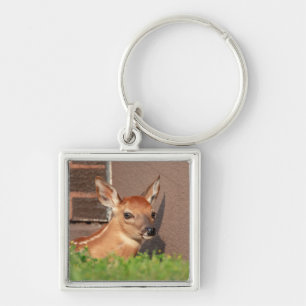 Chaveiro Retrato de uma Fawn (veado branco)