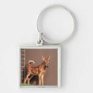 Chaveiro Retrato de uma Fawn (veado branco)