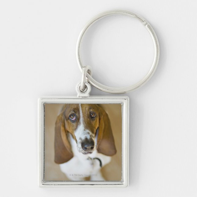 Chaveiro Retrato do Bassett, Washington (Frente)