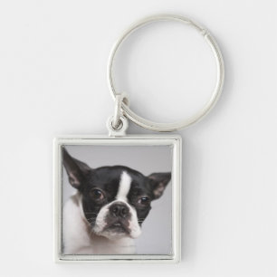 Chaveiro Retrato do cão