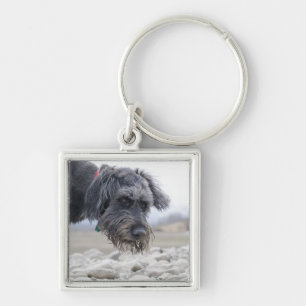 Chaveiro Retrato do cão da raça da mistura, inclinando-se