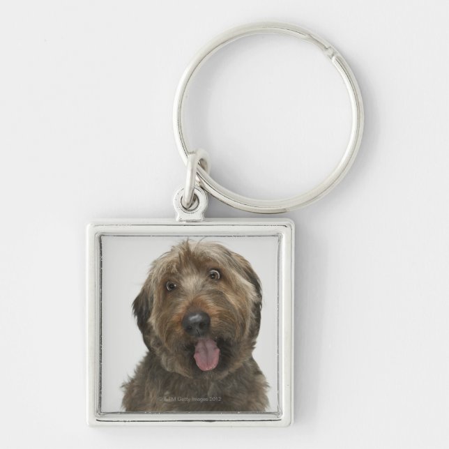 Chaveiro Retrato do cão de Briard (Frente)