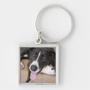 Chaveiro retrato do cão preto