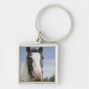 Chaveiro Retrato do cavalo de Clydesdale