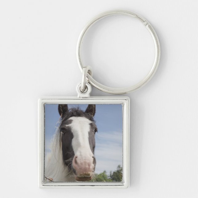 Chaveiro Retrato do cavalo de Clydesdale (Frente)
